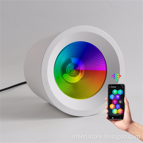 Christmas Hot Selling Remote Control RGBW Indoor Surface Mounted Downlight